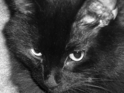 Click here to view at full resolution.