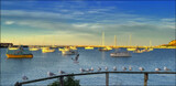 The Gulls Are Gathering by LynEve, photography->birds gallery