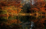 When The Cypress Go To Sleep by PatAndre, photography->water gallery