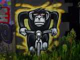 Going Ape by rvdb, photography->general gallery
