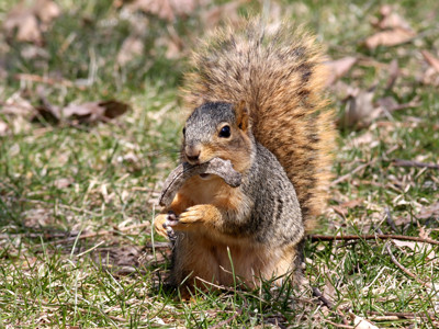 Click here to view at full resolution.