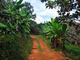 Village path by sahadk, photography->landscape gallery