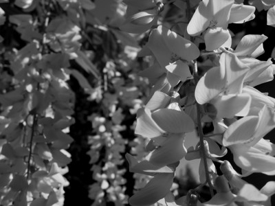 Click here to view at full resolution.