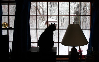 Click here to view at full resolution.