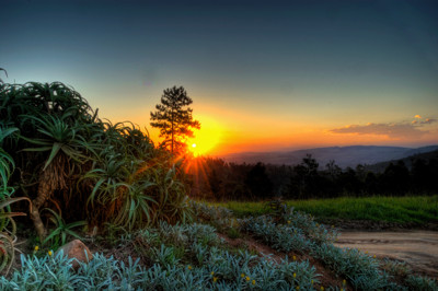 Click here to view at full resolution.