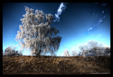 The winter is wonderful by Mauntnbeika, Photography->Landscape gallery