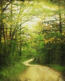 On Down the Road by Starglow, photography->landscape gallery
