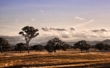 Tree Line by Mythmaker, photography->landscape gallery