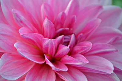 Click here to view at full resolution.