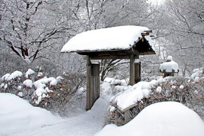 Click here to view at full resolution.