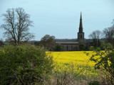 Across a field of Gold by TheWhisperer, Photography->Landscape gallery