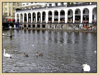 Click here to view at full resolution.