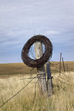 Barbed Wire by doughlas, photography->general gallery