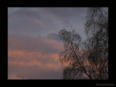 Click here to view at full resolution.