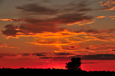 Click here to view at full resolution.