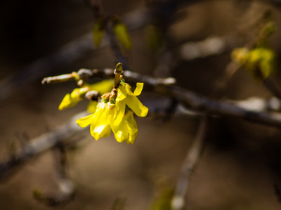 Click here to view at full resolution.