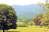 Summer Haze by neveahsangel, Computer->Landscape gallery