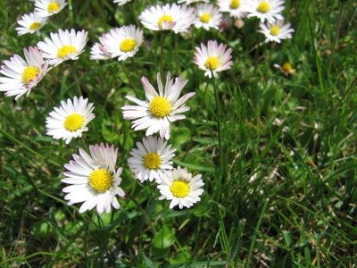 Click here to view at full resolution.