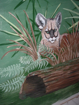 Click here to view at full resolution.