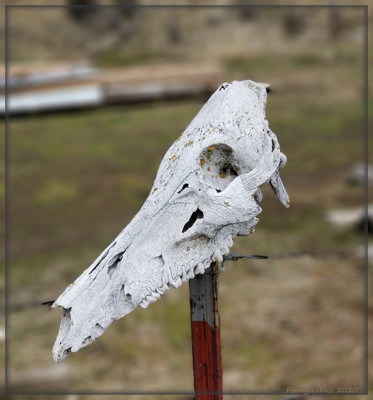 Click here to view at full resolution.