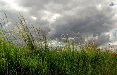 Click here to view at full resolution.
