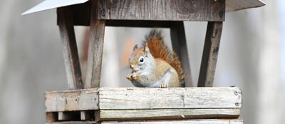 Click here to view at full resolution.