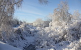 Winter Stream by Tomeast, photography->landscape gallery