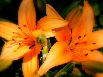 Click here to view at full resolution.