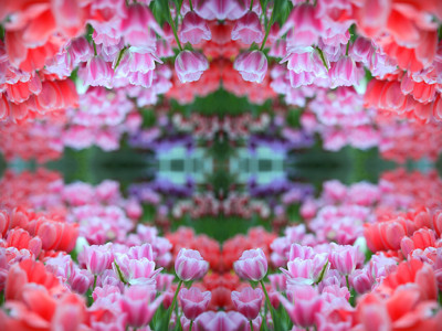 Click here to view at full resolution.