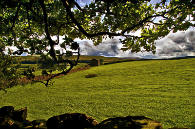 Click here to view at full resolution.