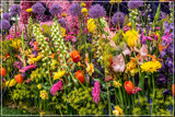 Spring Foofies 01 by corngrowth, photography->flowers gallery