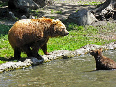 Click here to view at full resolution.