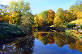 Autumn Colors 3 by Ramad, photography->landscape gallery