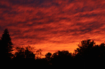Click here to view at full resolution.