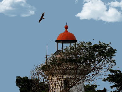 Click here to view at full resolution.