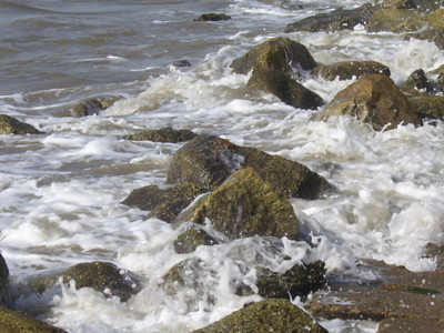 Click here to view at full resolution.