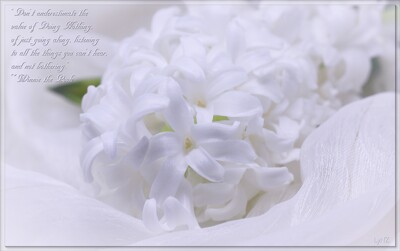 Click here to view at full resolution.