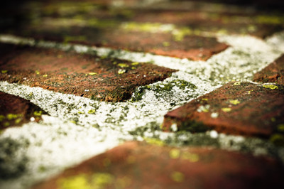 Click here to view at full resolution.