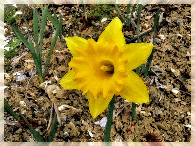 Click here to view at full resolution.