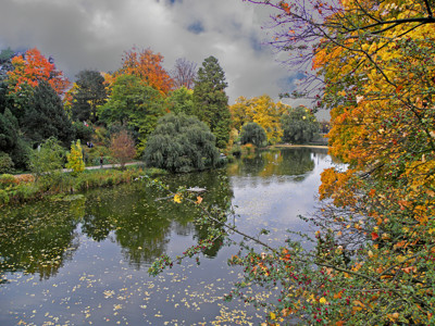 Click here to view at full resolution.