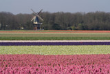 Dutch Postcard by Paul_Gerritsen, Photography->Landscape gallery