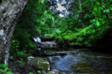 Hidden Beck by biffobear, Photography->Landscape gallery