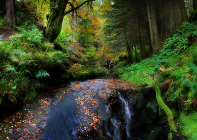 Click here to view at full resolution.