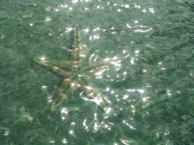 Click here to view at full resolution.