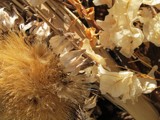 Dried ... Still Nice by Vickid, photography->flowers gallery