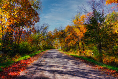 Click here to view at full resolution.
