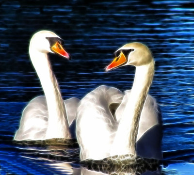 Click here to view at full resolution.