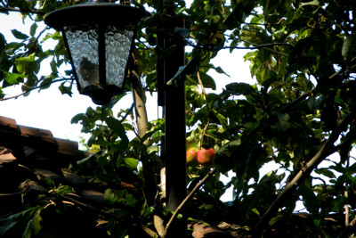 Click here to view at full resolution.