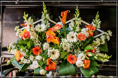 Click here to view at full resolution.