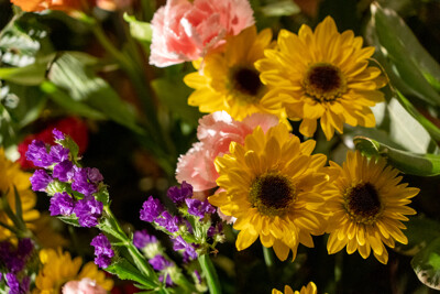 Click here to view at full resolution.